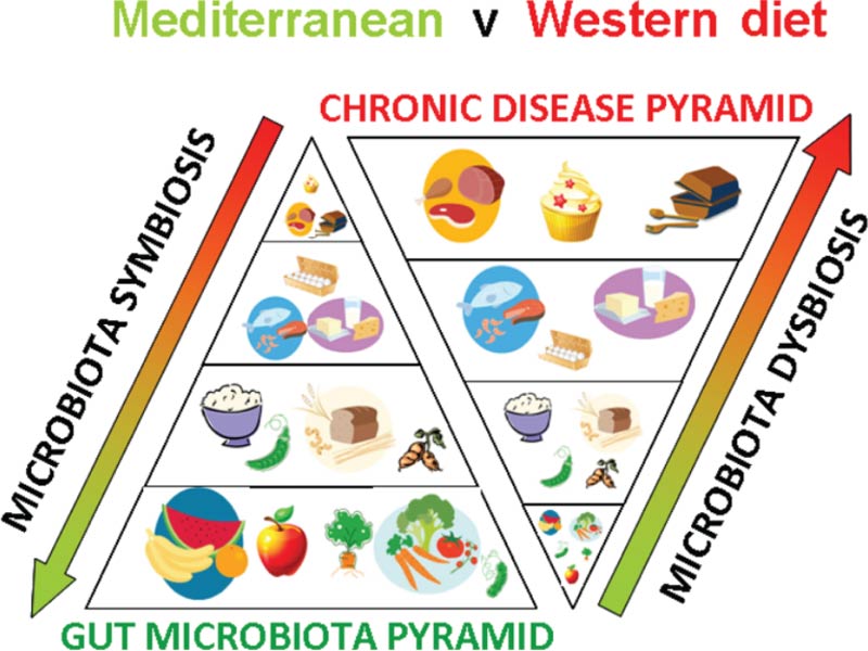 L’effetto della dieta sul microbioma intestinale e la nuova frontiera del food design - Olobiotico