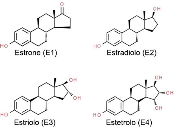 Estrogeni naturali umani - Olobiotico