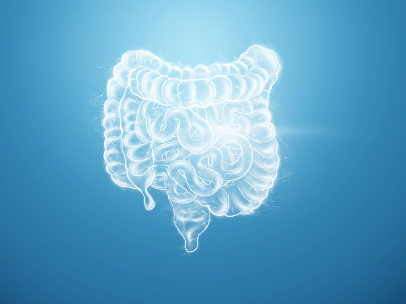 Microbiota intestinale e dieta mediterranea - Olobiotico